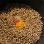 Green lentils with spices