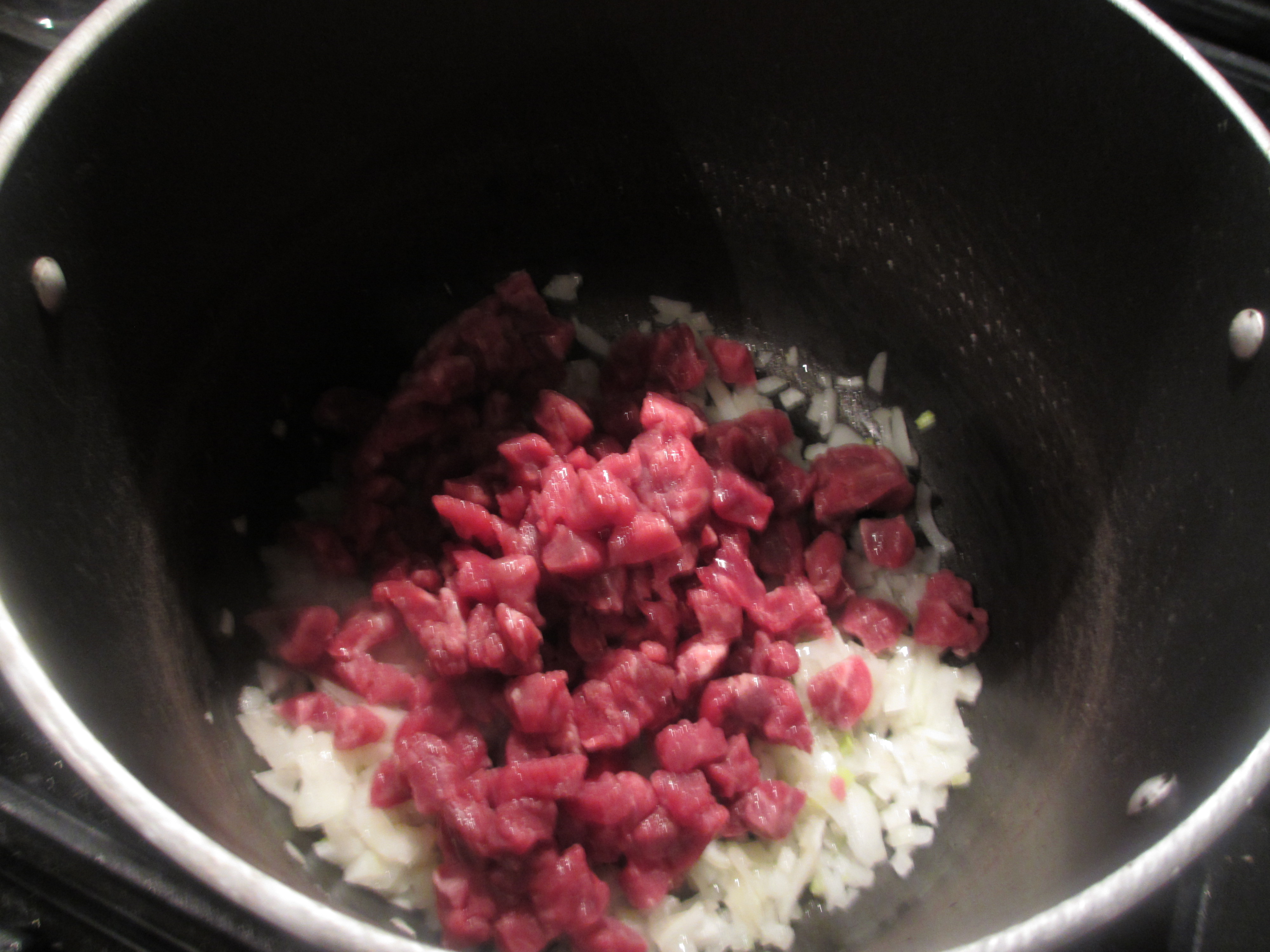 Chopped onions and beef