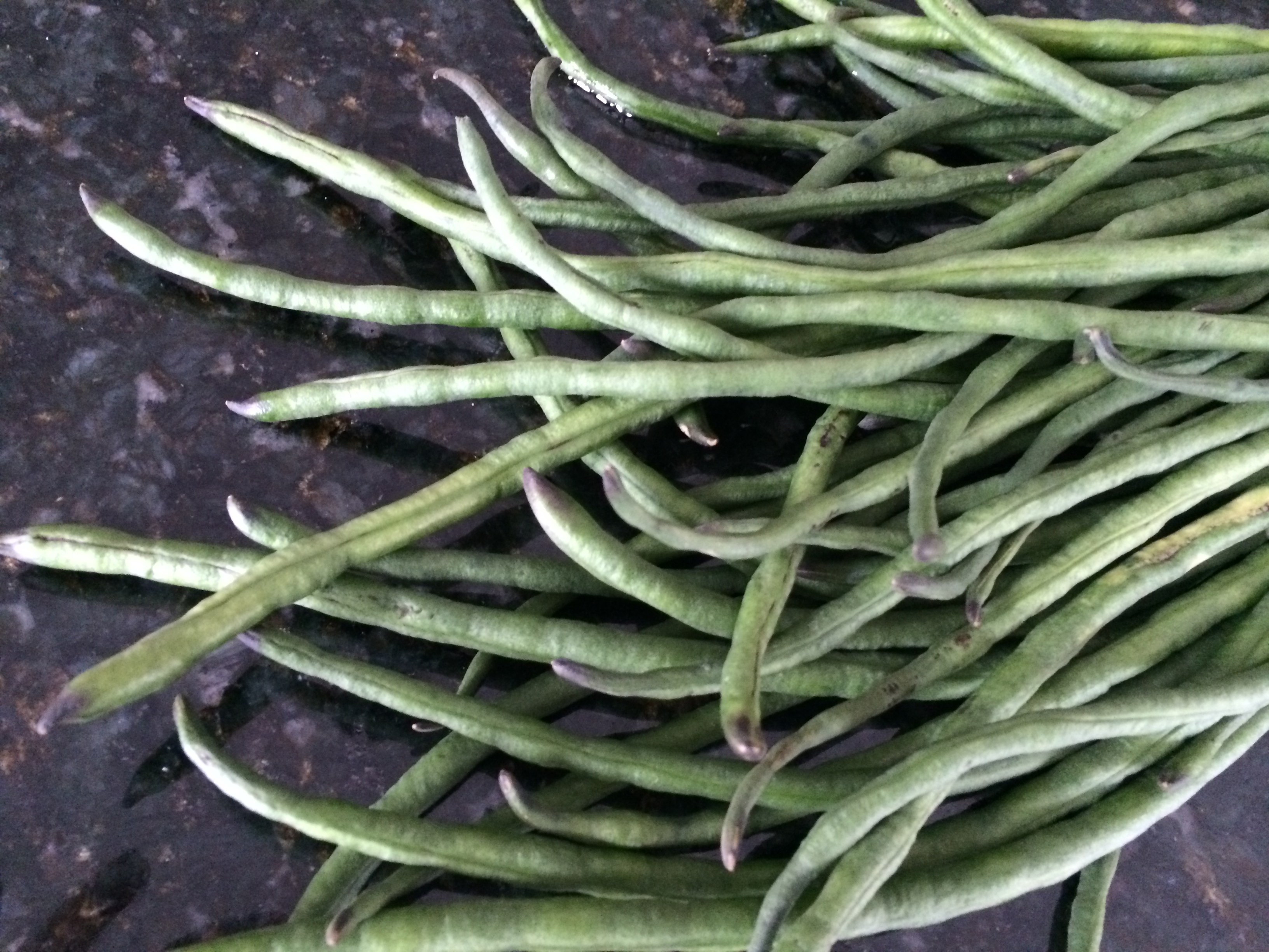 Long green beans, washed