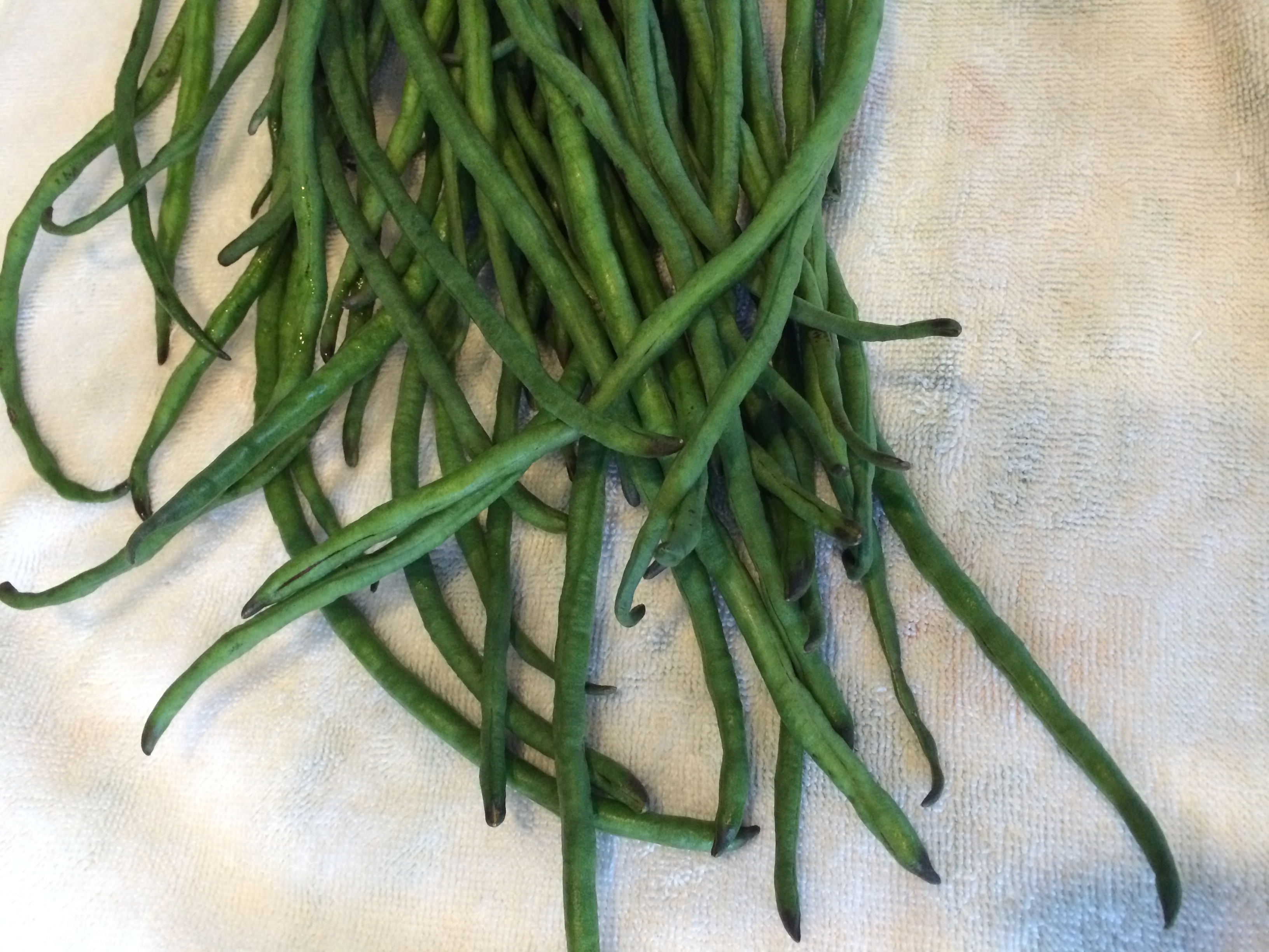 Long green beans, washed