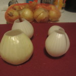 Onion layers, peeled