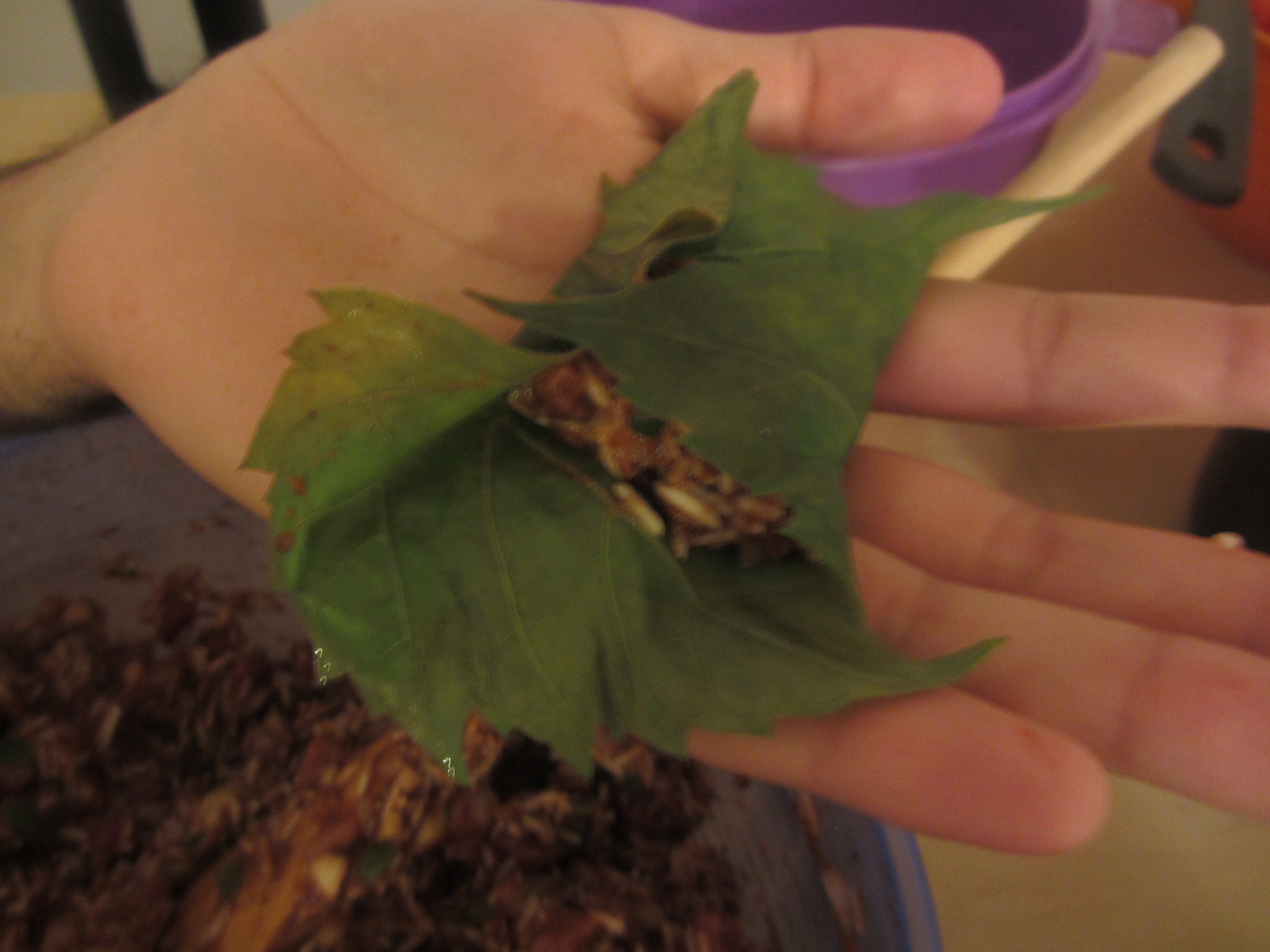 Grape leaf being stuffed on the palm of a hand