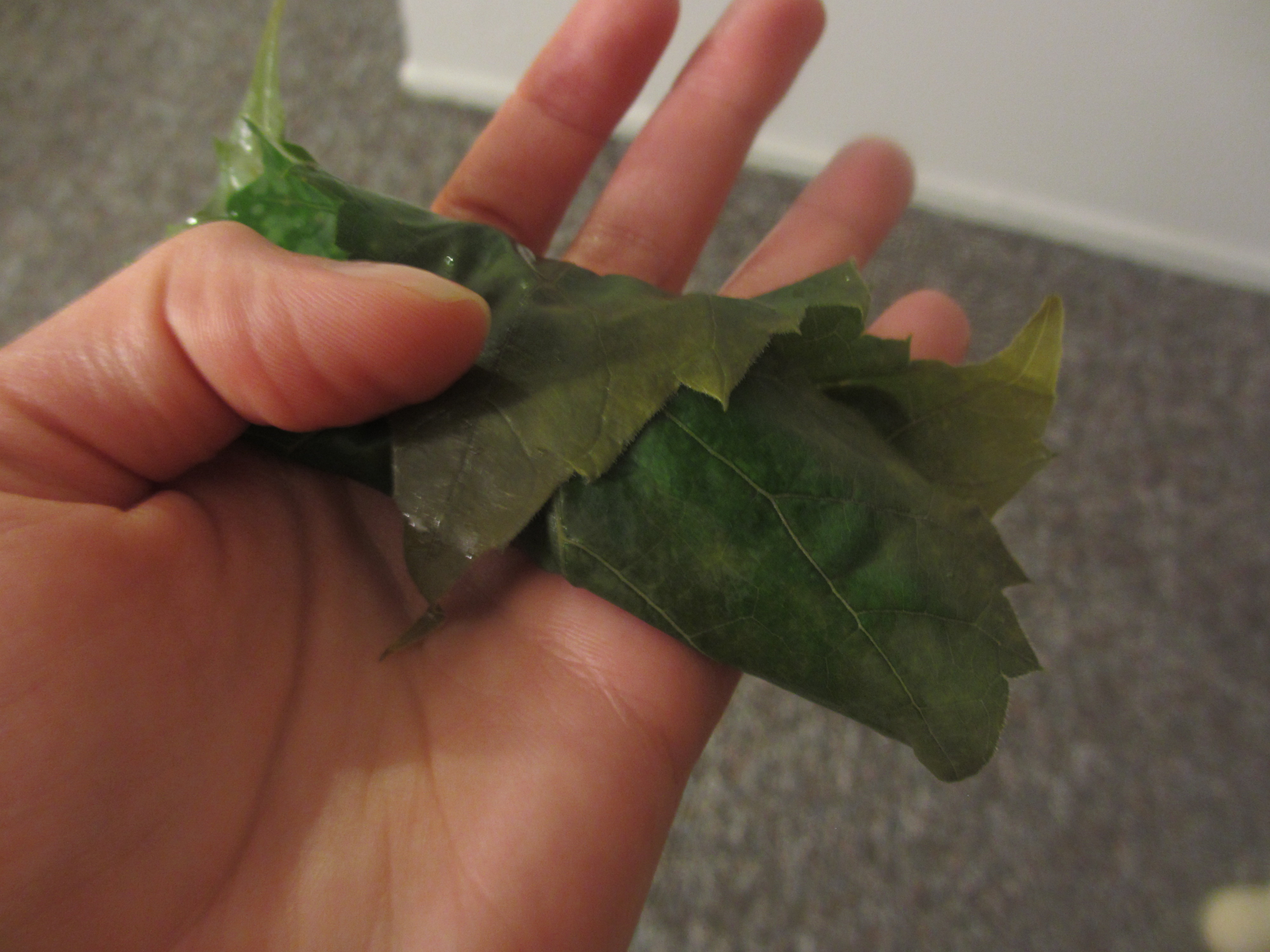 Grape leaf being stuffed on the palm of a hand