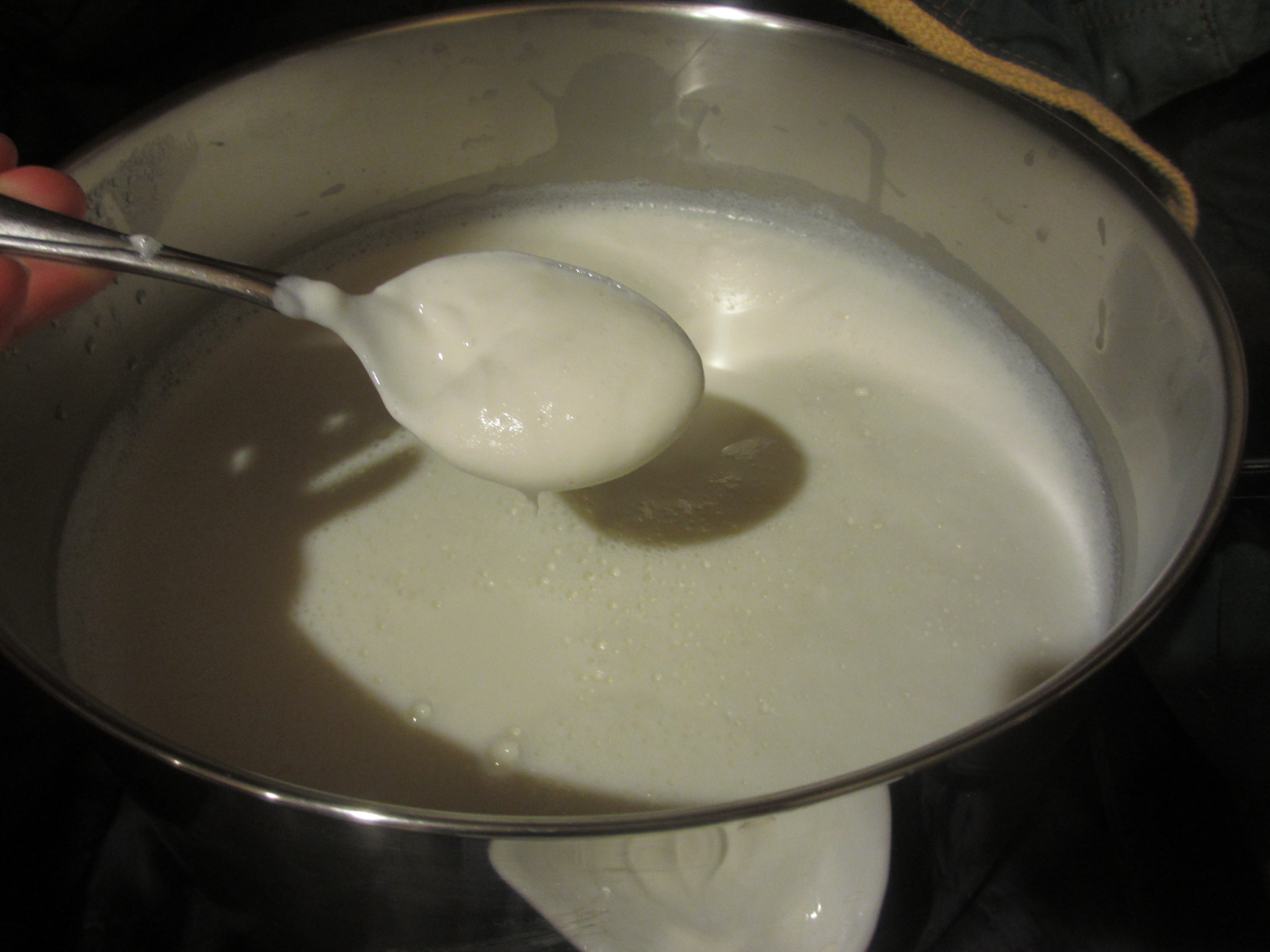Adding yogurt and milk mixture to the heated milk