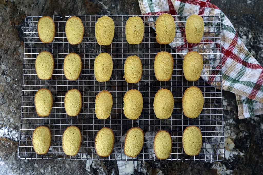 Baked madeleines on a cooling rack