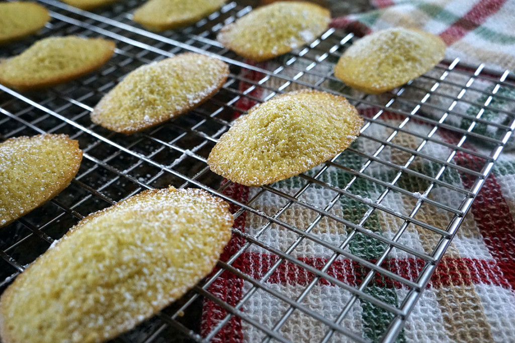 Close up of baked madeleines on a cooling rack topped with powdered sugar