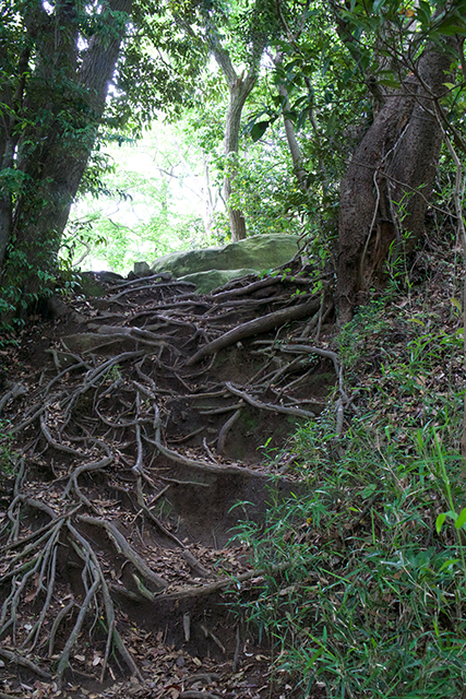 Daibutsu Trail